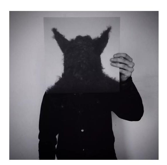 Photo d'un homme avec une tête de loup