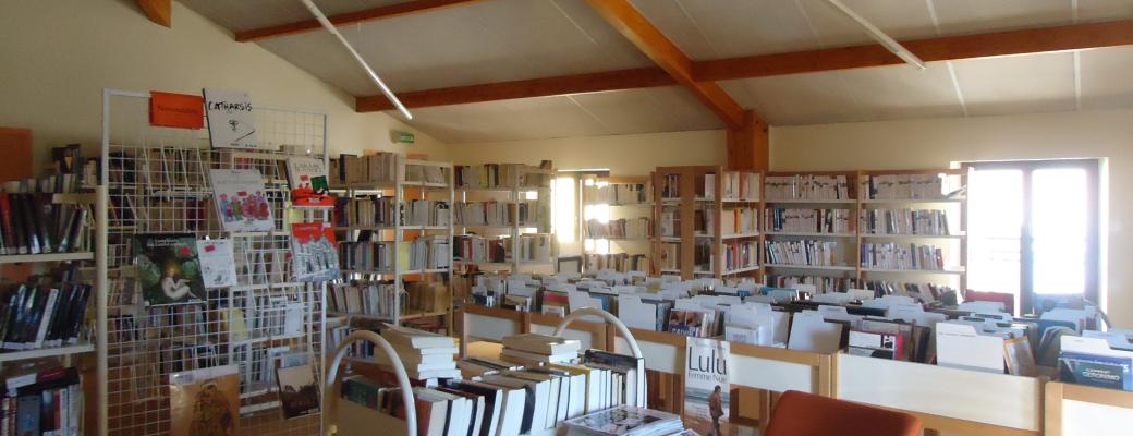 Accueil adultes de la bibliothèque de Puyloubier