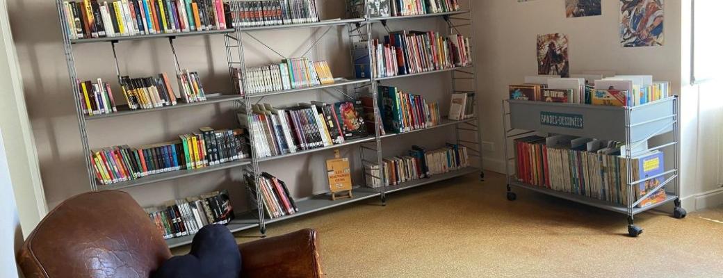 Espace romans mangas