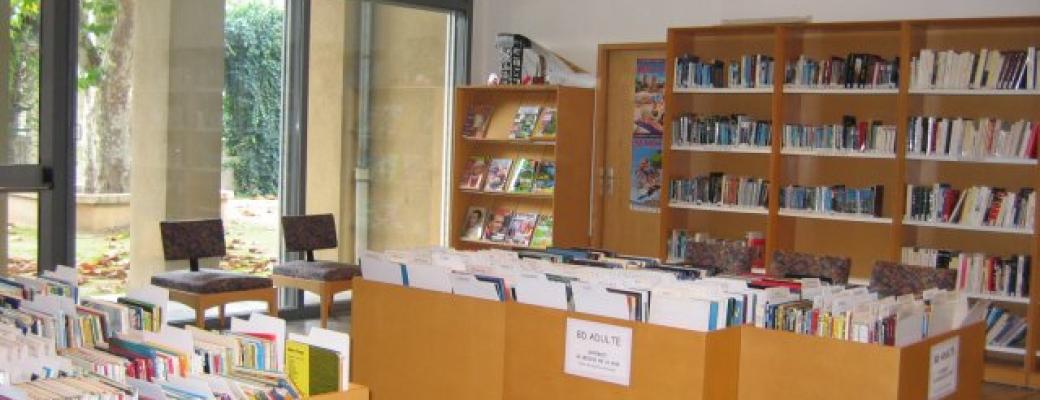 Romans de la bibliothèque Gréasque