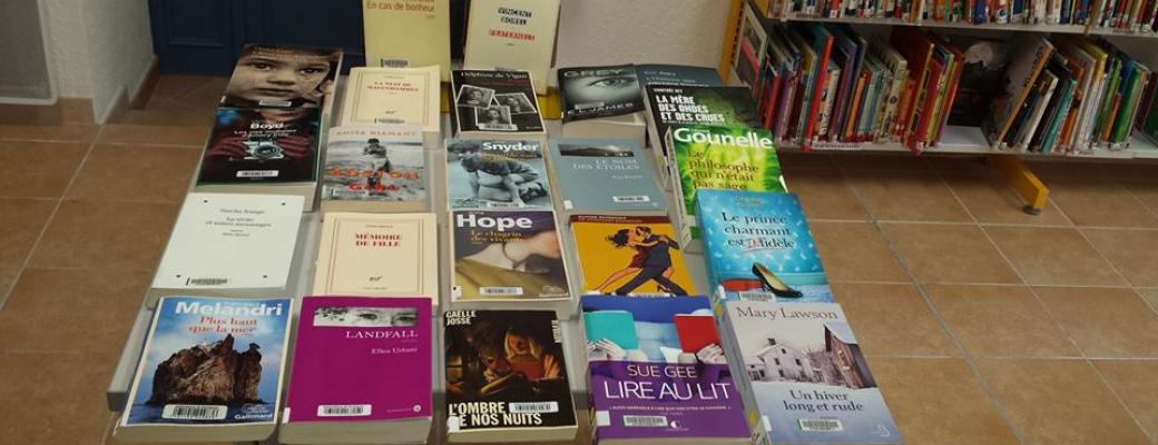 Romans de la bibliothèque de Vernègues