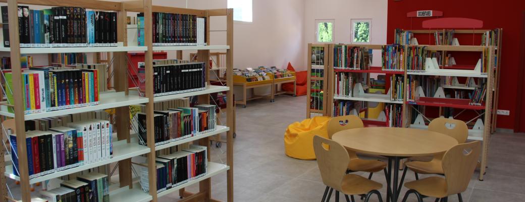 Romans de la bibliothèque du Rove