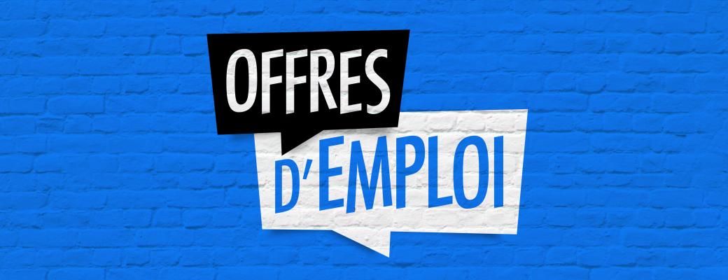 Offres d'emploi