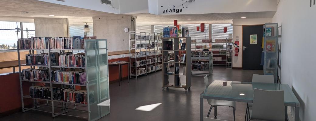 Espace Manga