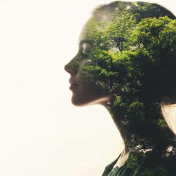 Photo d'un visage avec des plantes