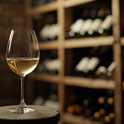Photo d'un verre de vin blanc dans une cave