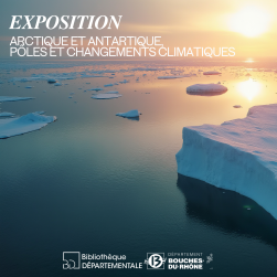 Photo d'icebergs