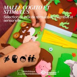 Affiche cogito et stimulus