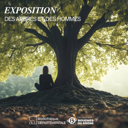 Photo d'une femme assise sous un arbre