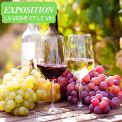 Verres de vin