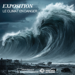 Photo d'un tsunami