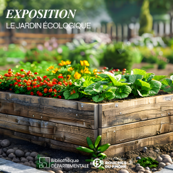 Photo d'un potager