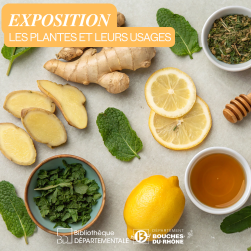 Photo de fruits, légumes, herbes, épice et miel