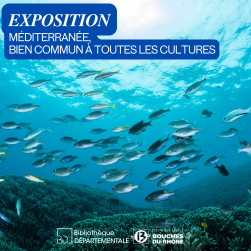 Photo sous-marine de la méditerranée