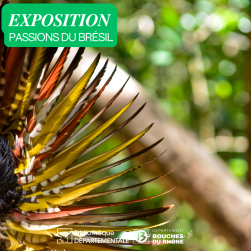Photo d'un masque tribal d'Amazonie avec plumes colorées
