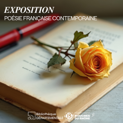 Rose sur un roman ouvert