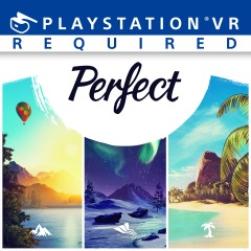 Jaquette du jeu Perfect