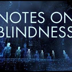Jaquette du jeu Notes on Blindness